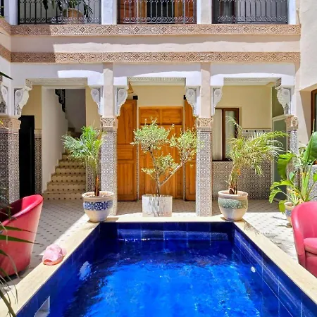 Riad Amazing-2